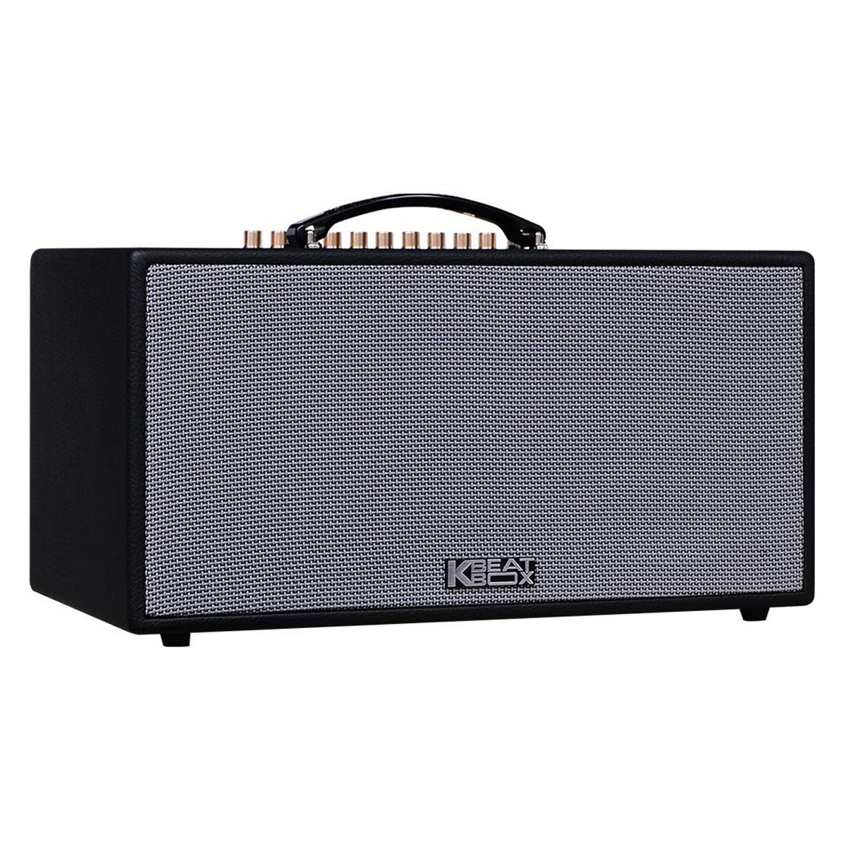 Loa xách tay Acnos HN447