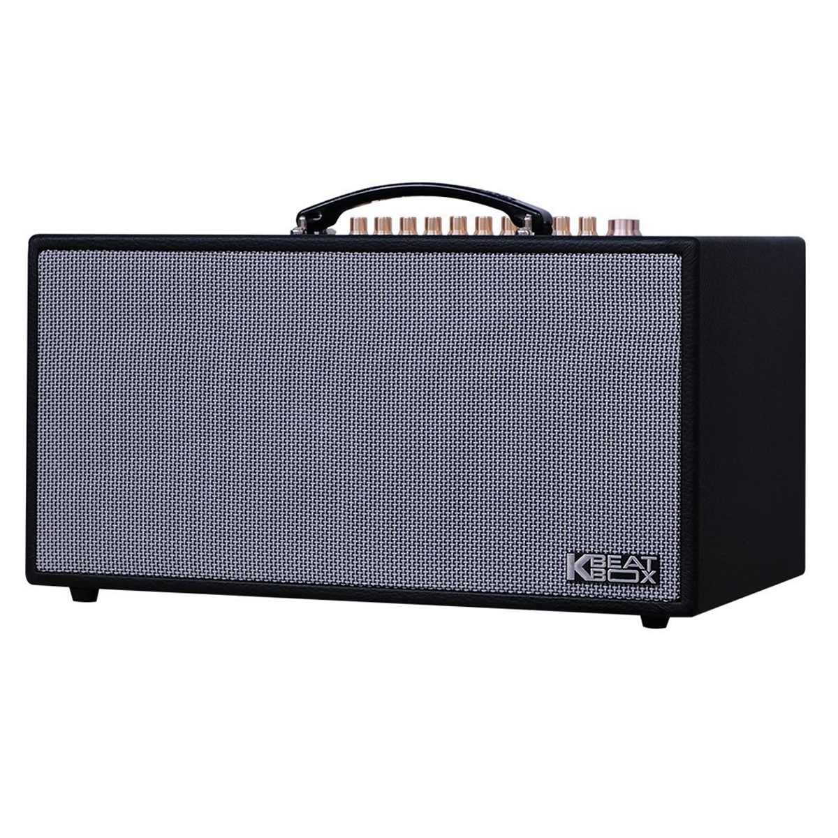 Loa xách tay ACNOS HN450