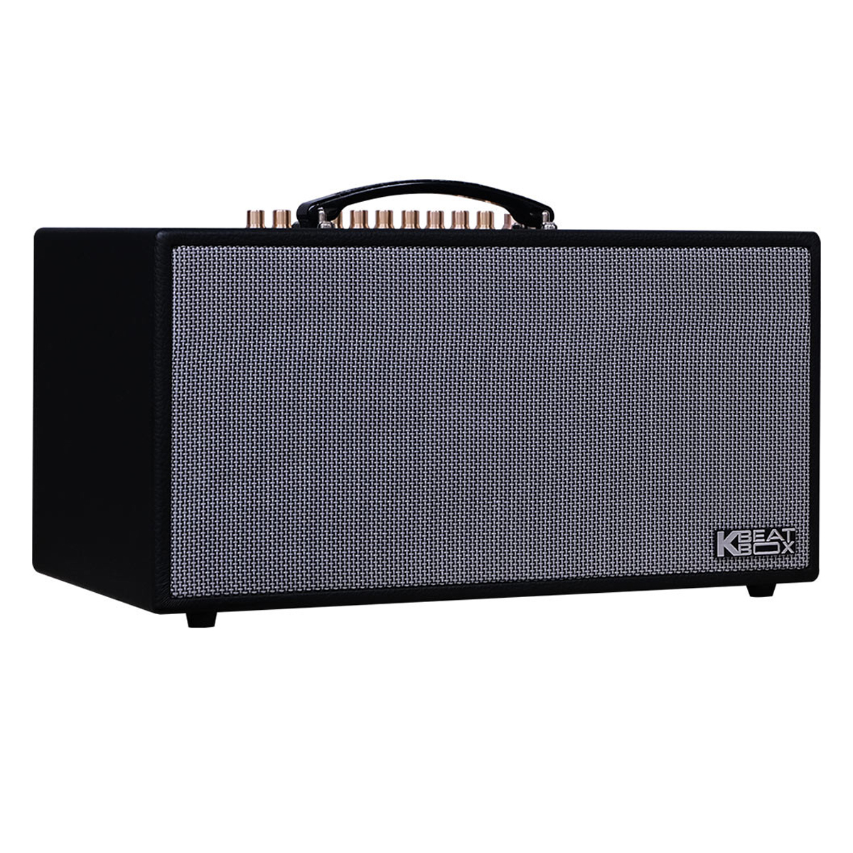 Loa xách tay ACNOS HN450