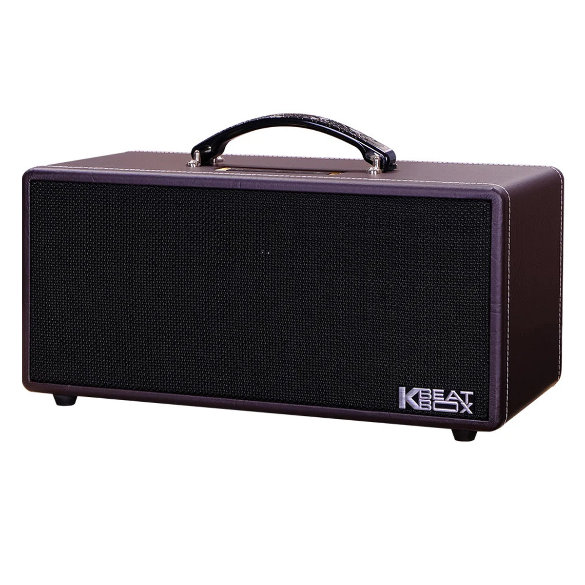 Loa xách tay Acnos KS362D