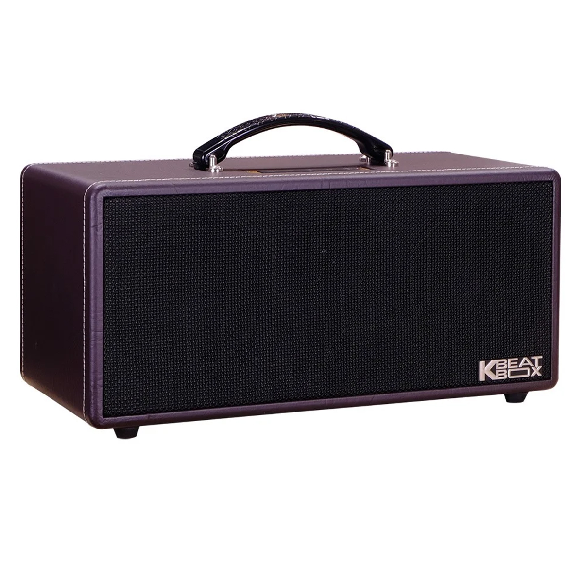 Loa xách tay Acnos KS362D