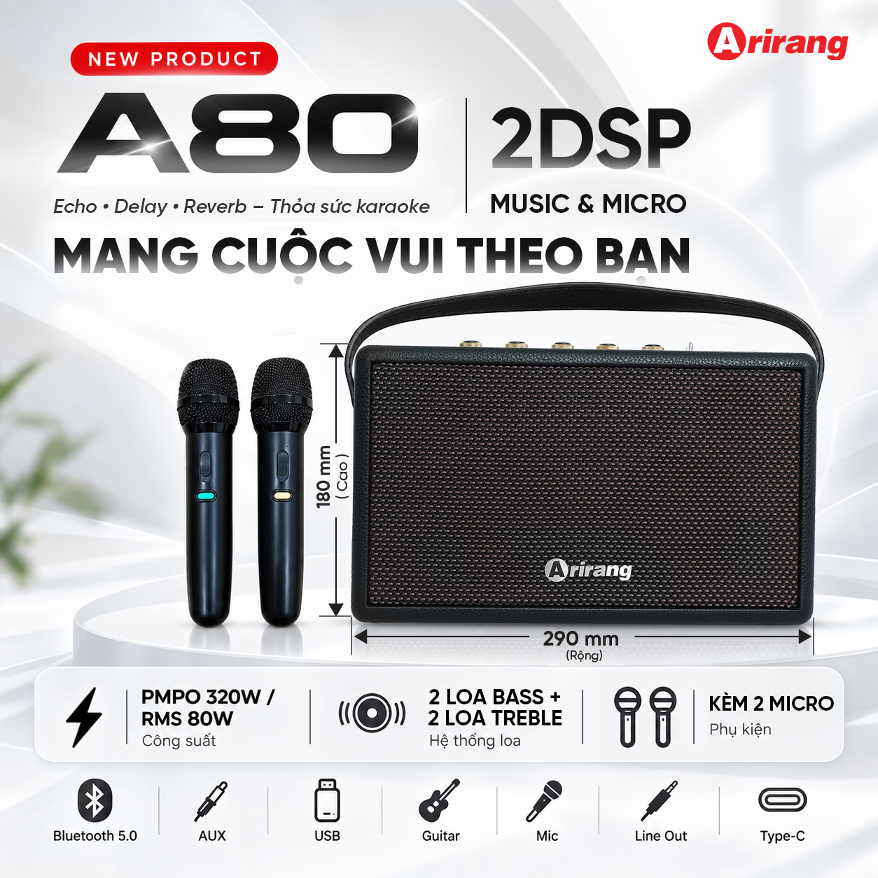 Loa xách tay Arirang A80