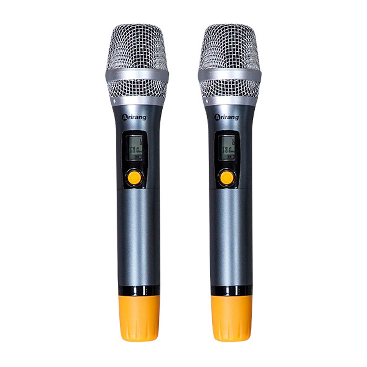 Loa xách tay Arirang MB3