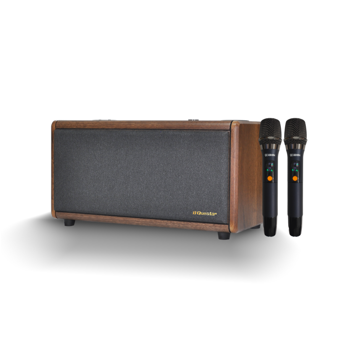 Loa xách tay BIK BCQ-M65dB