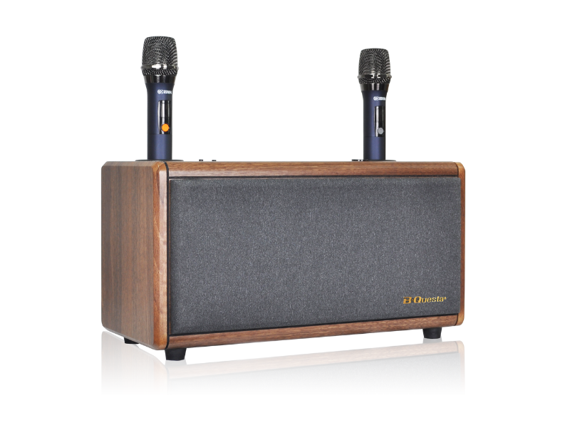 Loa x&aacute;ch tay BIK BCQ-M65dB