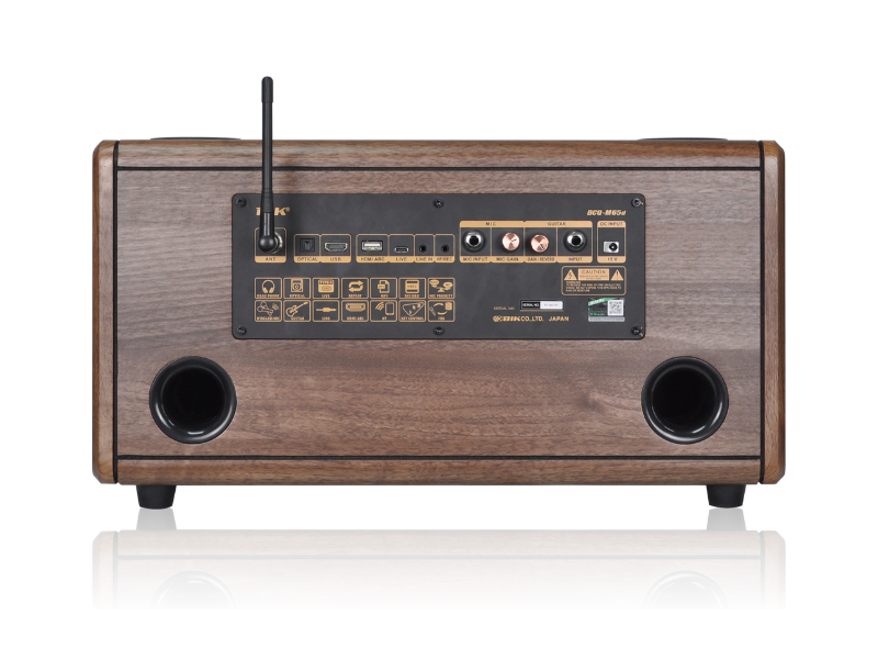 Loa x&aacute;ch tay BIK BCQ-M65dB