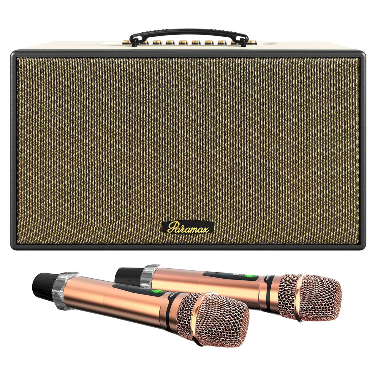 Loa Paramax Aura (NEW 2025, 250W, Kèm 2 Micro) - Hình 4