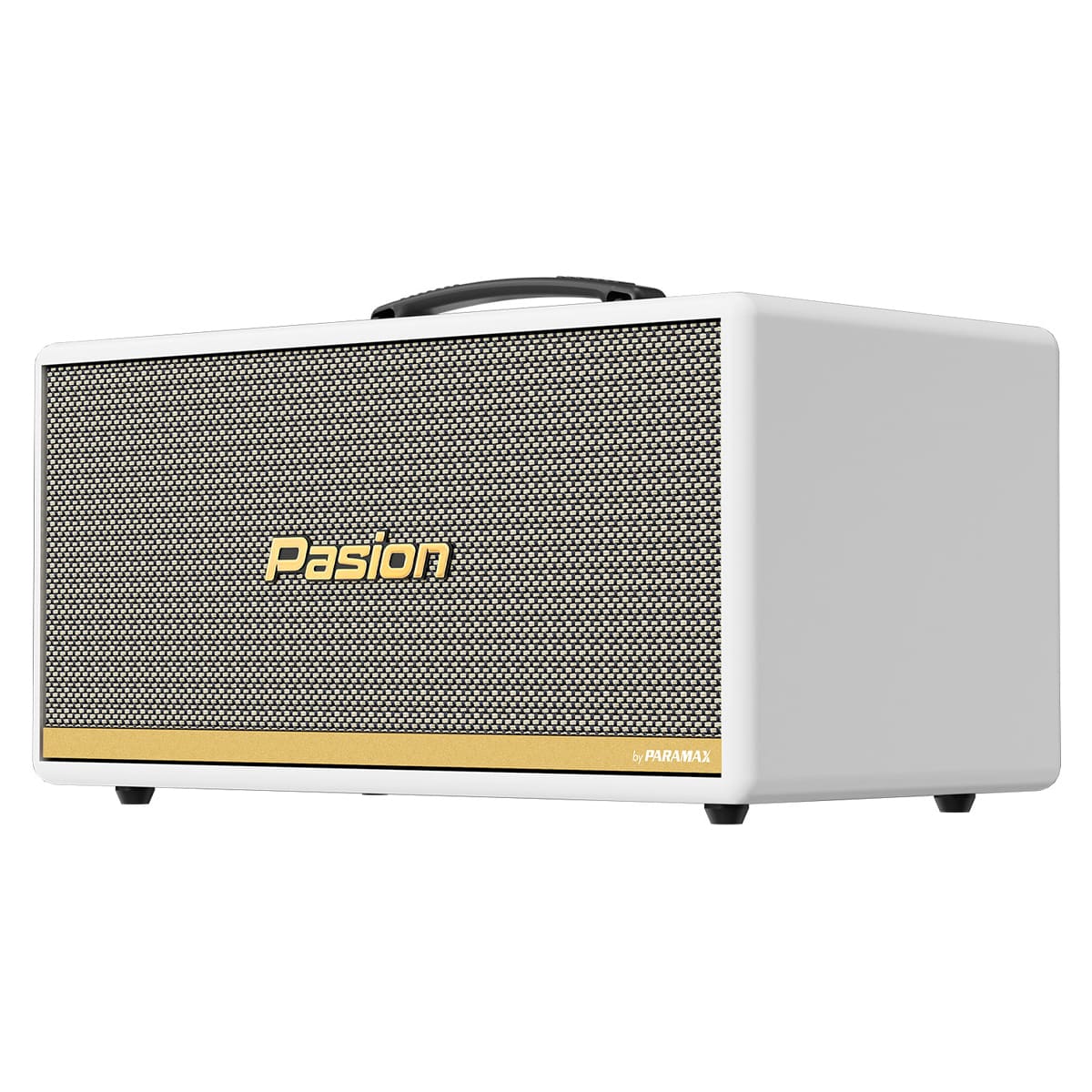 Loa xách tay Paramax Pasion 2c