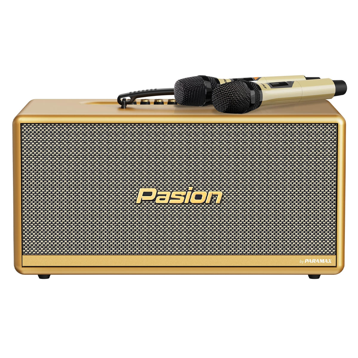 Loa xách tay Paramax Pasion 2c