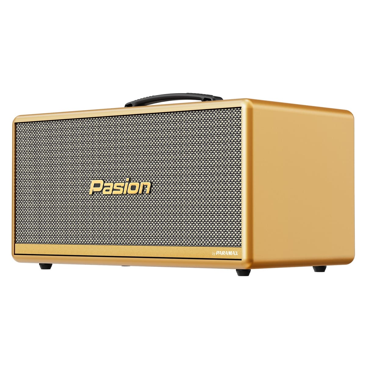 Loa xách tay Paramax Pasion 2c