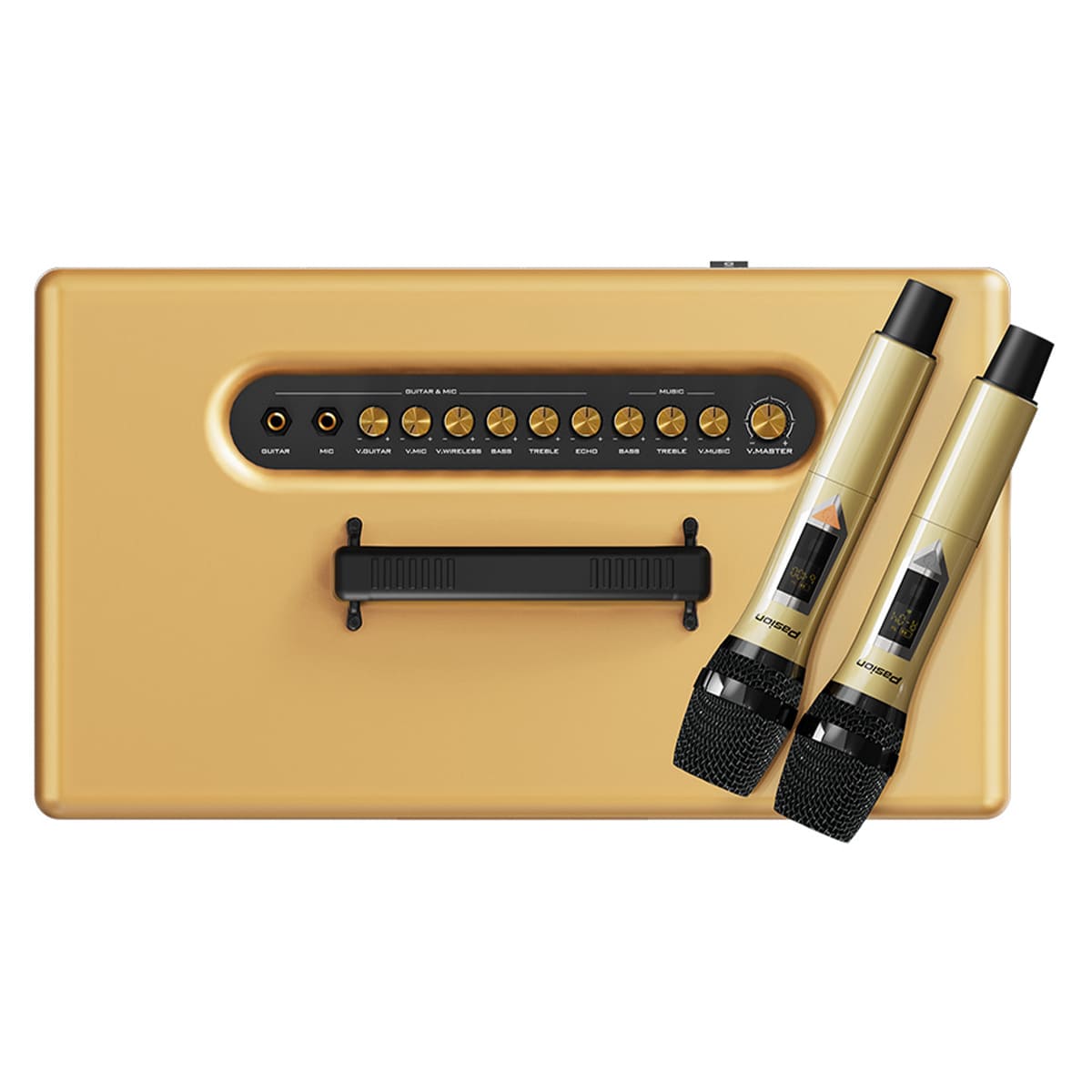 Loa xách tay Paramax Pasion 2c