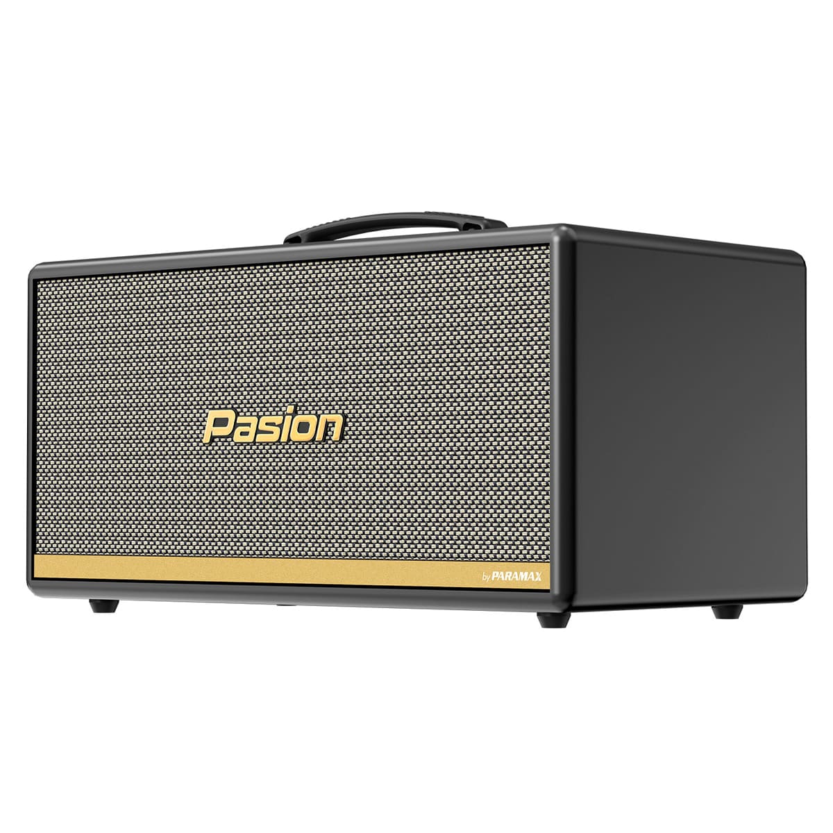 Loa xách tay Paramax Pasion 2c