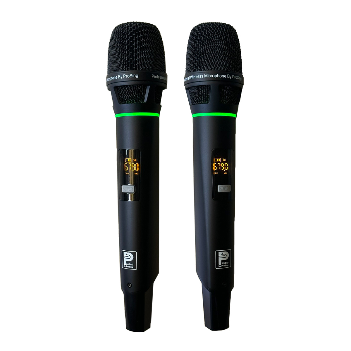 Loa xách tay Prosing DSP-236X