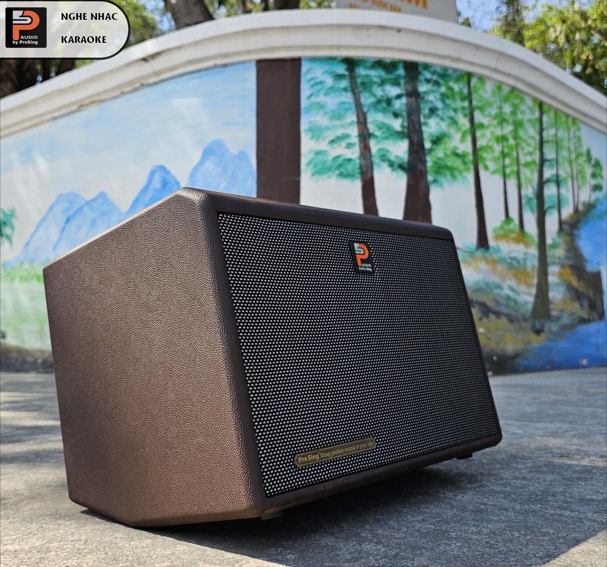 Loa x&aacute;ch tay Prosing DSP-236X
