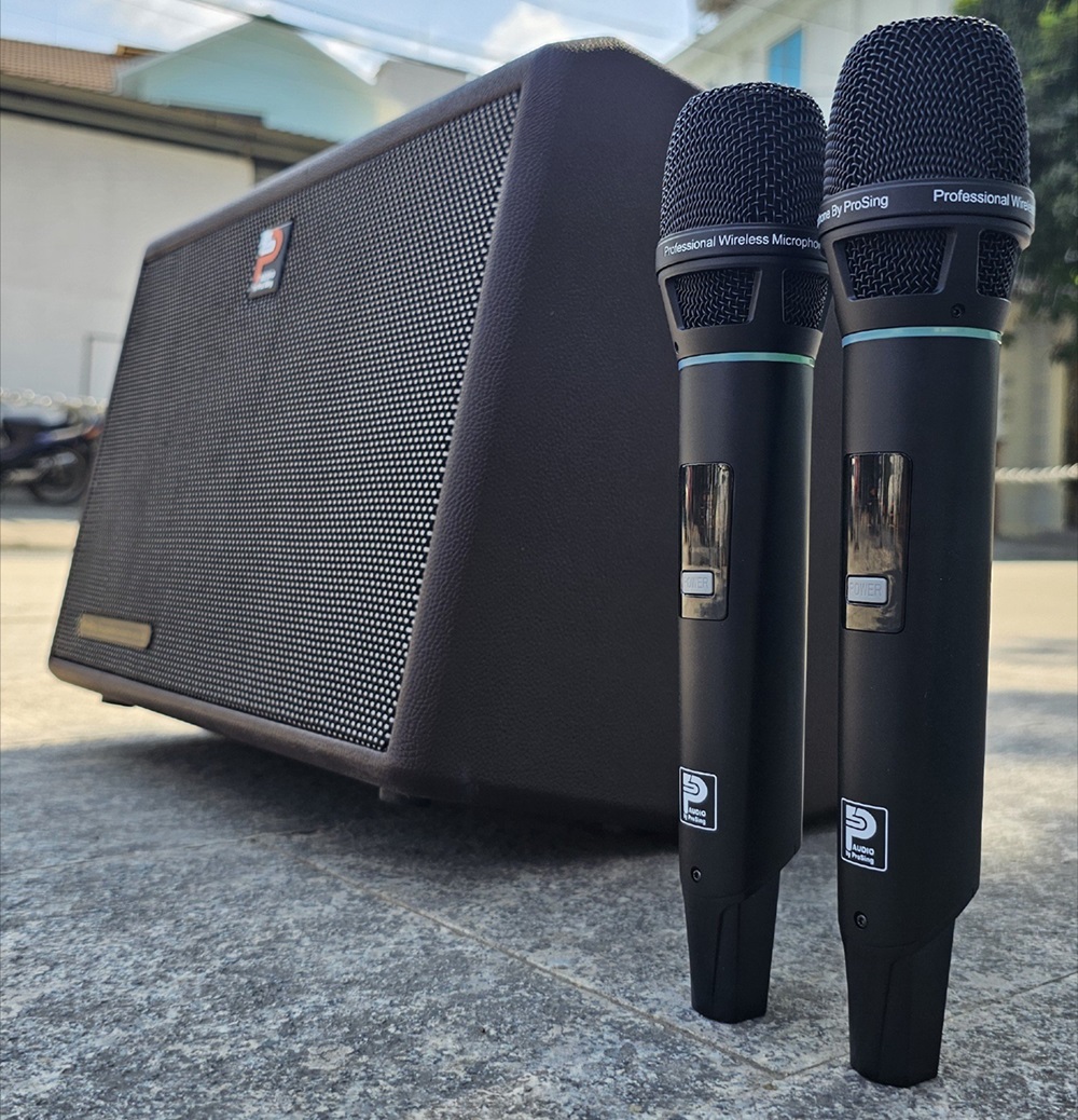Loa x&aacute;ch tay Prosing DSP-236X