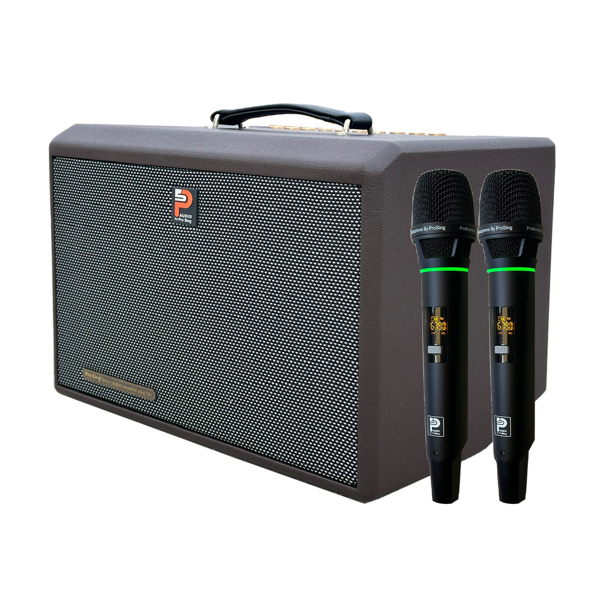 Loa xách tay Prosing DSP-236X