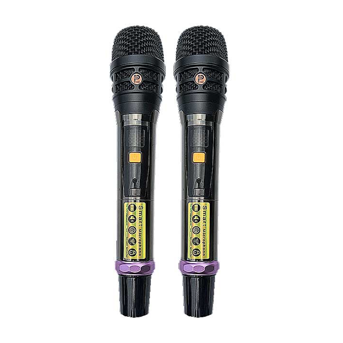 Loa xách tay Prosing PS-28