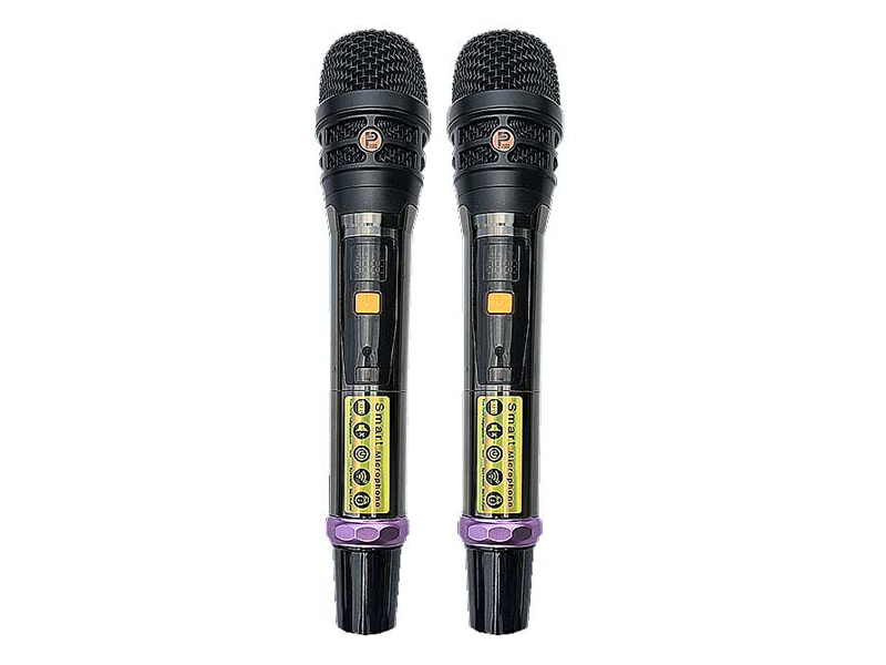 Loa x&aacute;ch tay Prosing PS-28 
