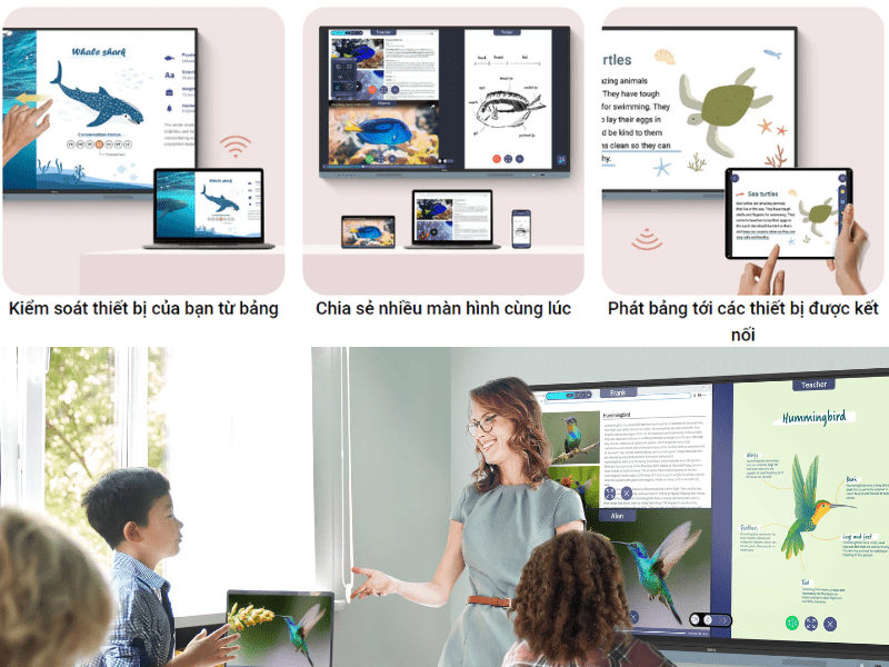 Màn hình tương tác BenQ RM6504