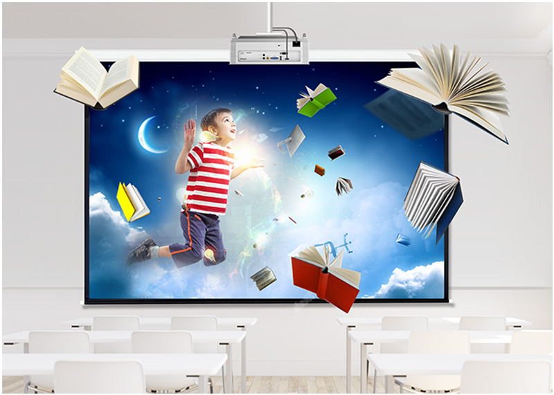 Máy chiếu Vivitek DX331