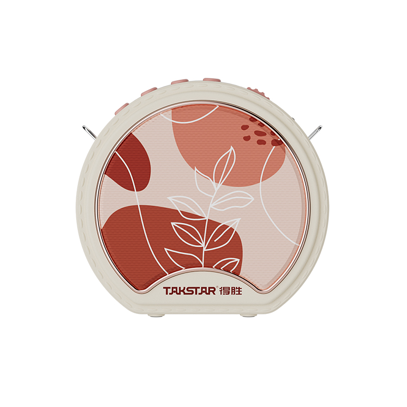 Máy Trợ Giảng Takstar E20 - Hình 2