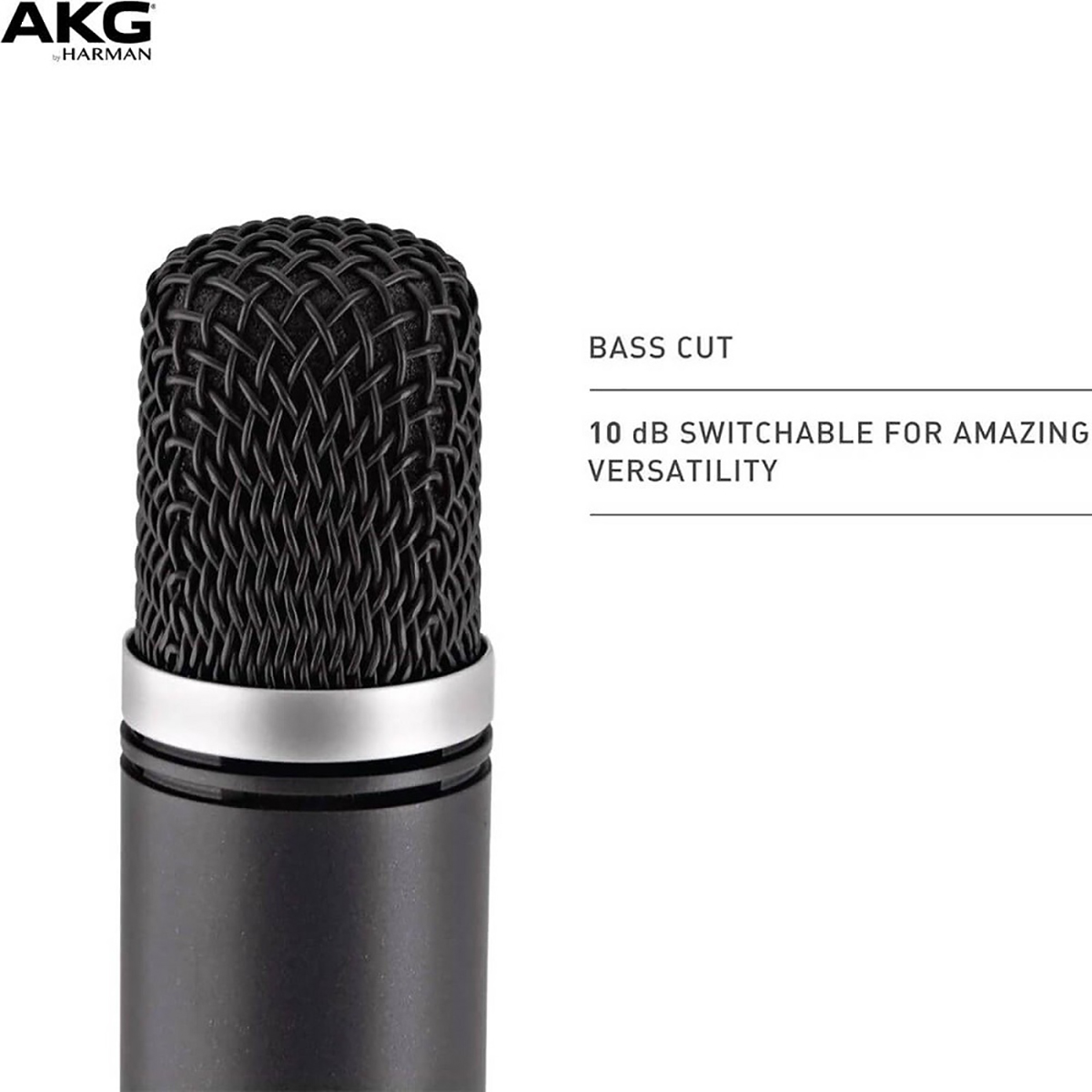 Micro AKG C1000S