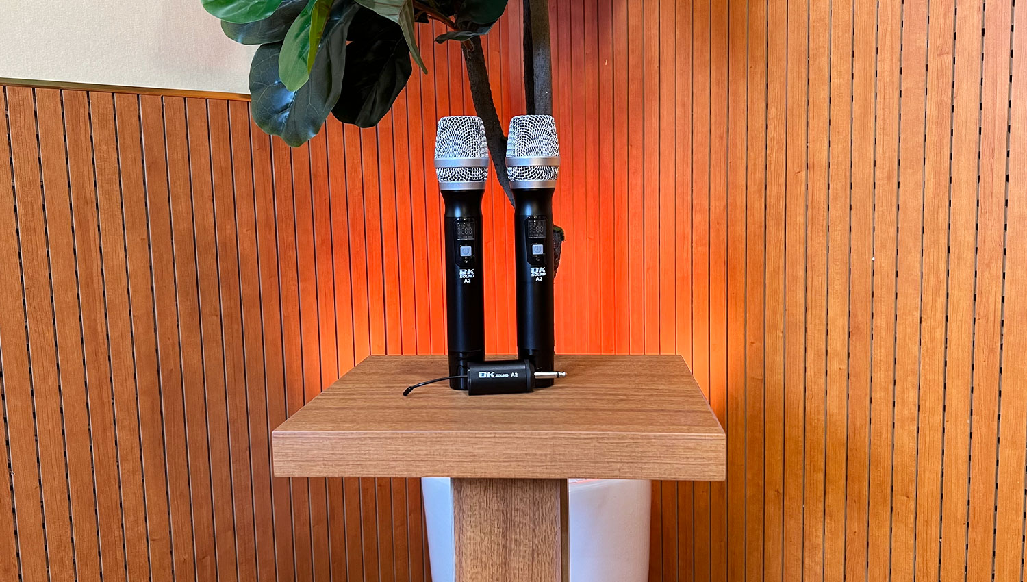 Micro Không Dây BKSound A2