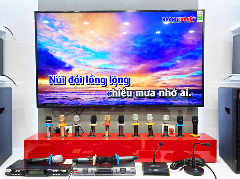 C&aacute;ch chọn micro kh&ocirc;ng d&acirc;y karaoke gia đ&igrave;nh h&aacute;t nhẹ, &iacute;t h&uacute;