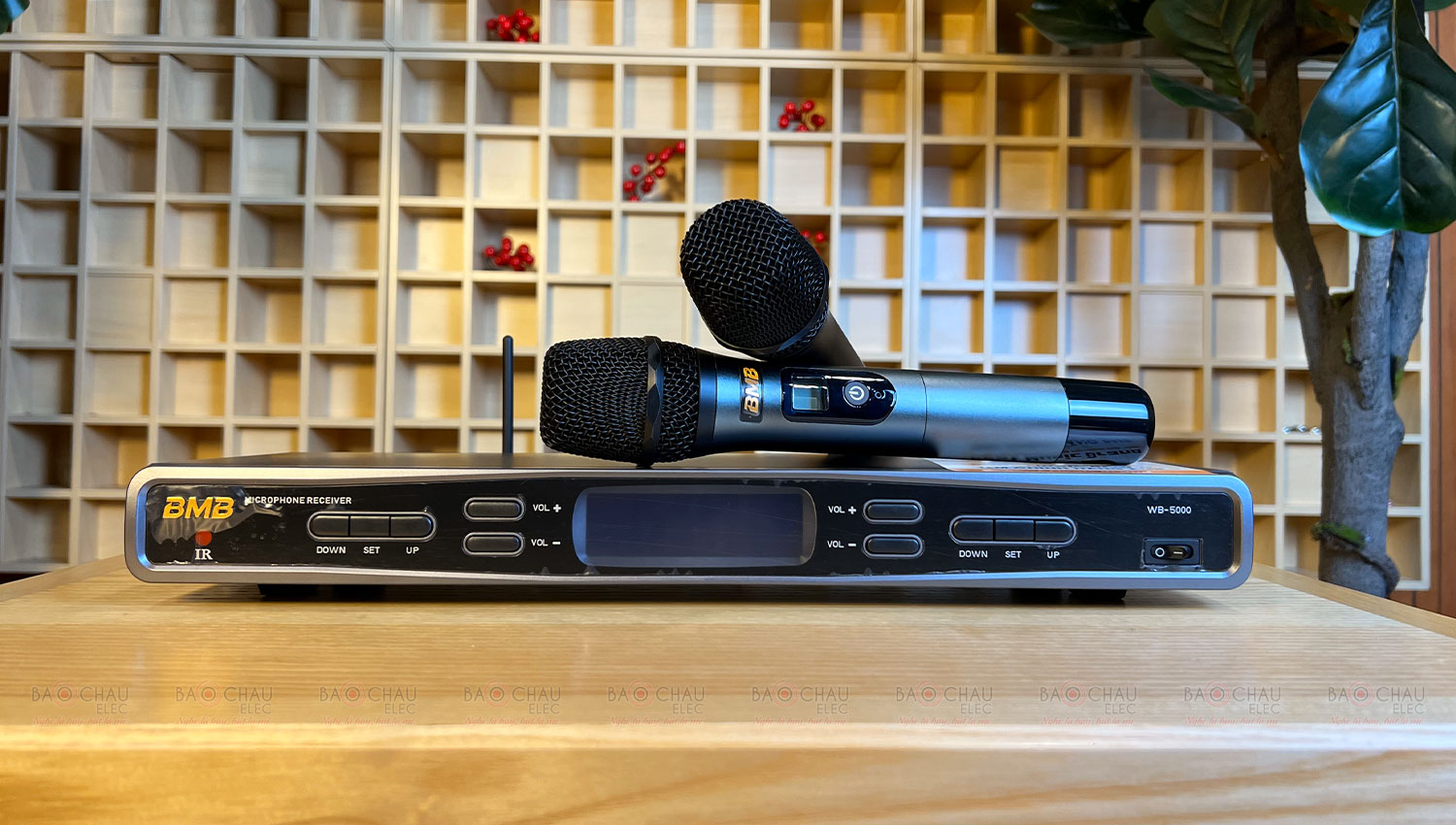 Micro Không Dây BMB WB-5000