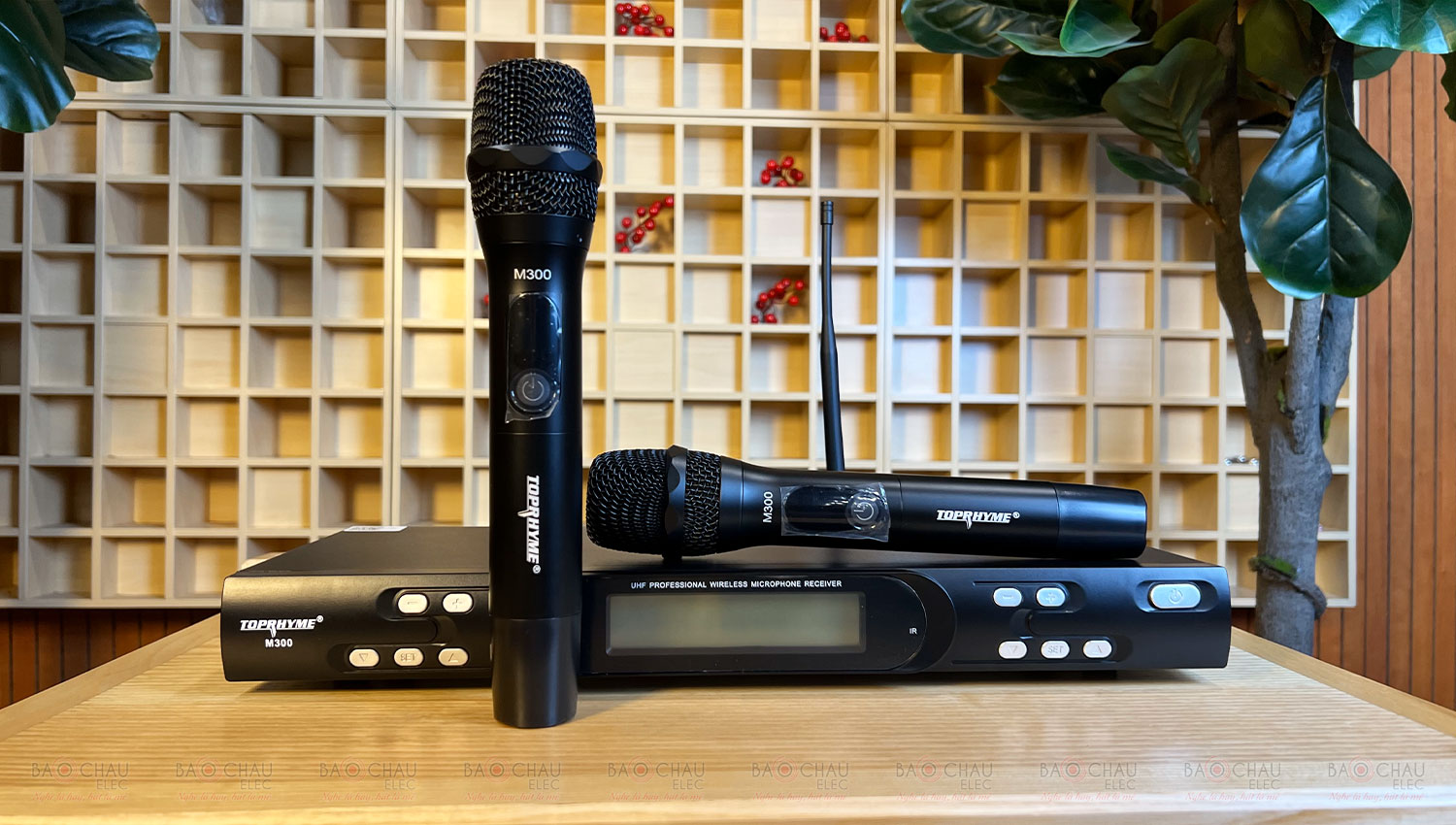 Micro Không Dây Toprhyme M300