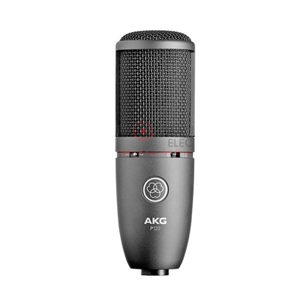 Micro AKG P120