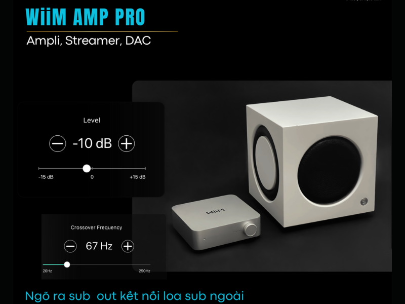 Music Streaming Amplifier WiiM Amp Pro