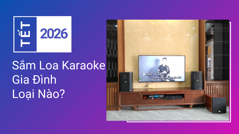 Tết 2026 Nên Sắm Loa Karaoke Gia Đình Loại Nào?