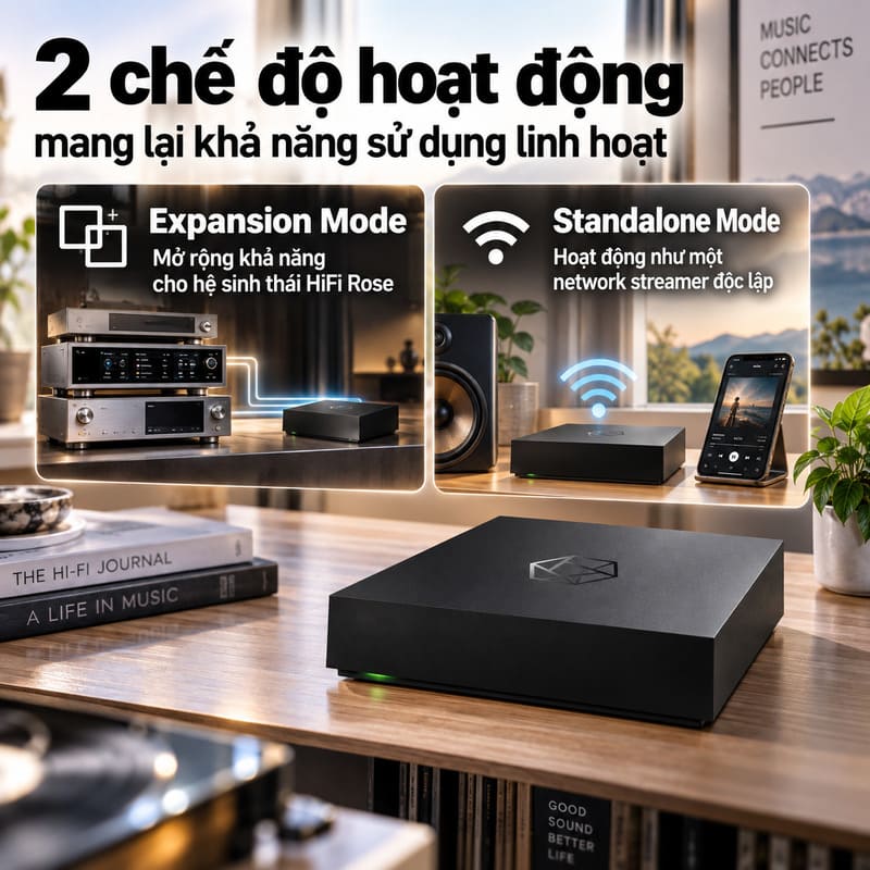 Network Streamer HiFi Rose RW800 Rose Air Lite