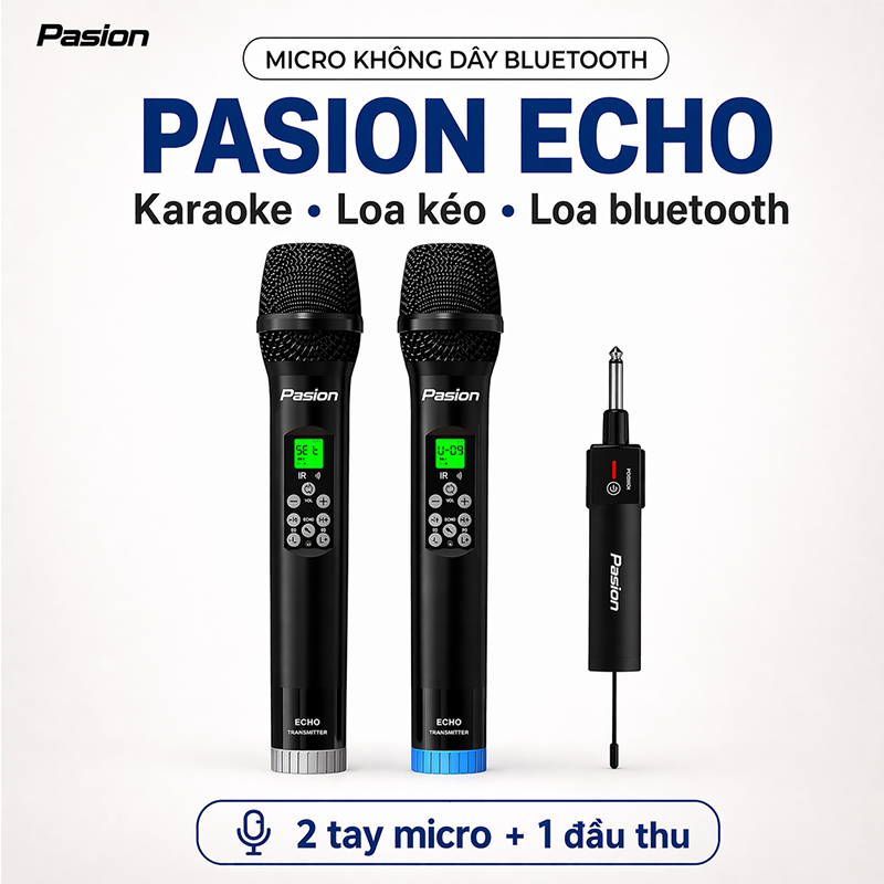 Micro Không Dây Paramax Pasion Echo (DSP, Có Echo)