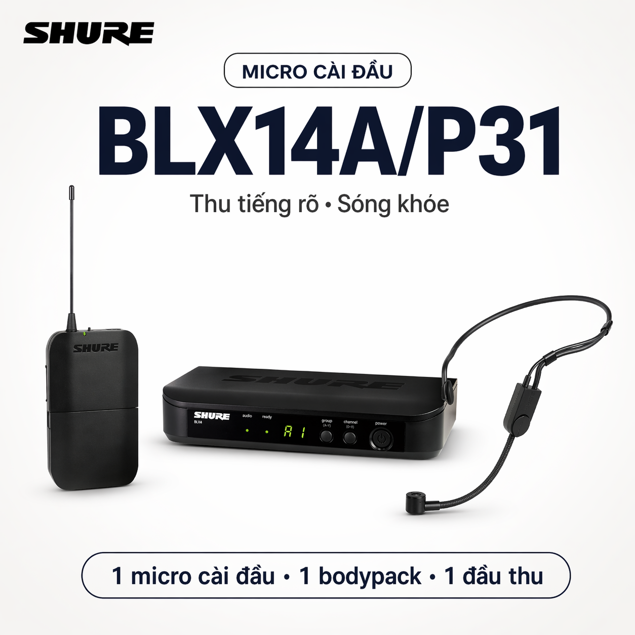 Micro Cài Đầu Shure BLX14A/P31