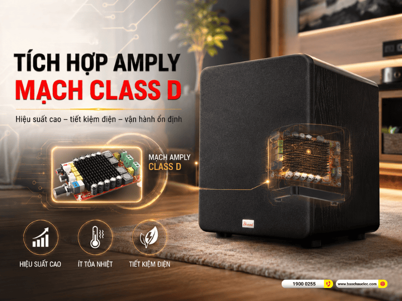 Loa sub điện Bksound SW612 MK II