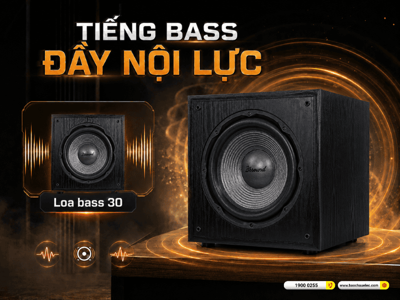 Loa sub điện Bksound SW212