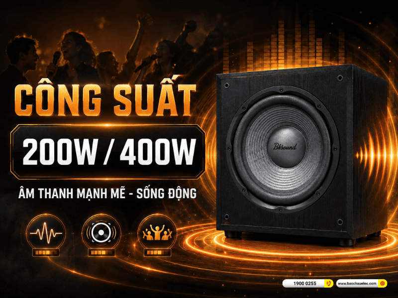 Loa sub điện Bksound SW212