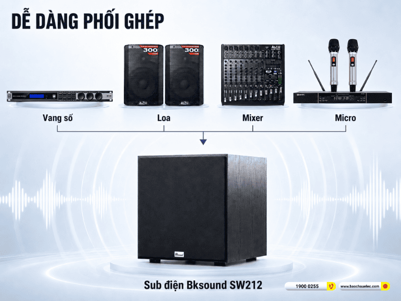 Loa sub điện Bksound SW212