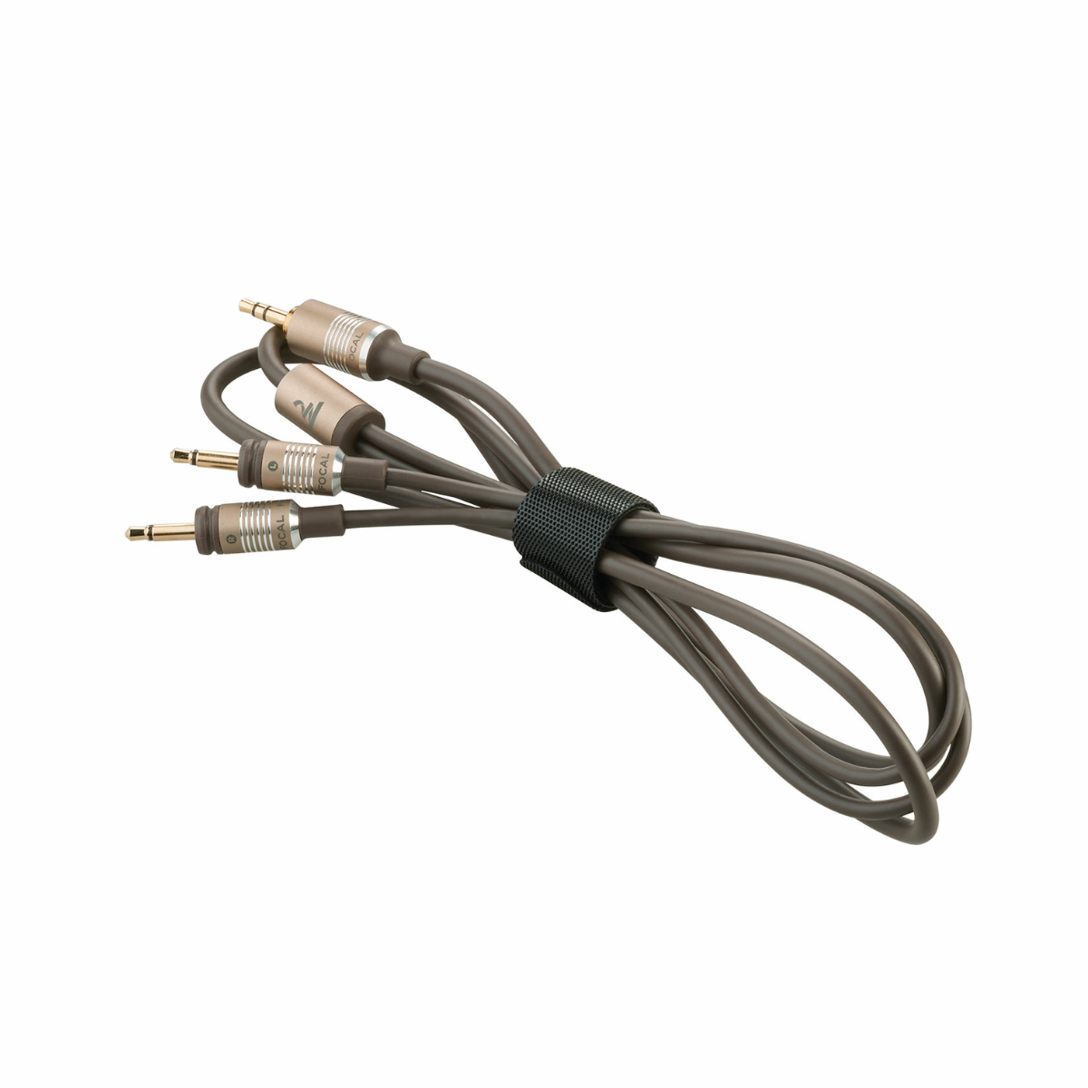 Tai nghe Focal Clear MG