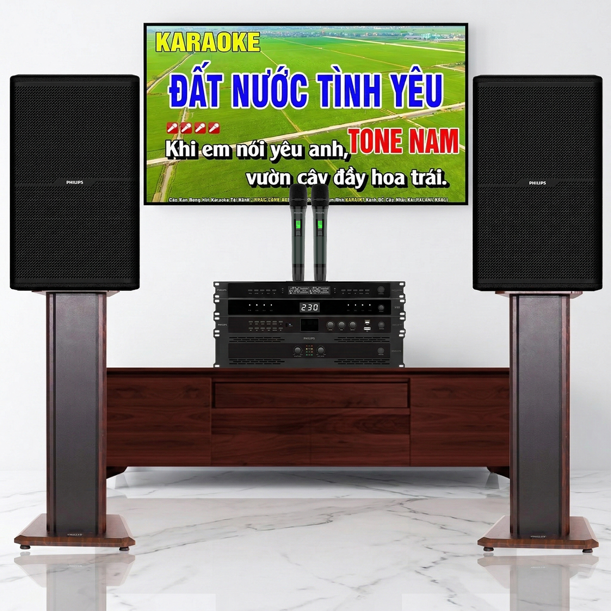 Dàn karaoke đồng bộ Philips 02 (CSS2807/70,CSS2551/70, CSS3751/70, CSS3321/70, Philips M8)