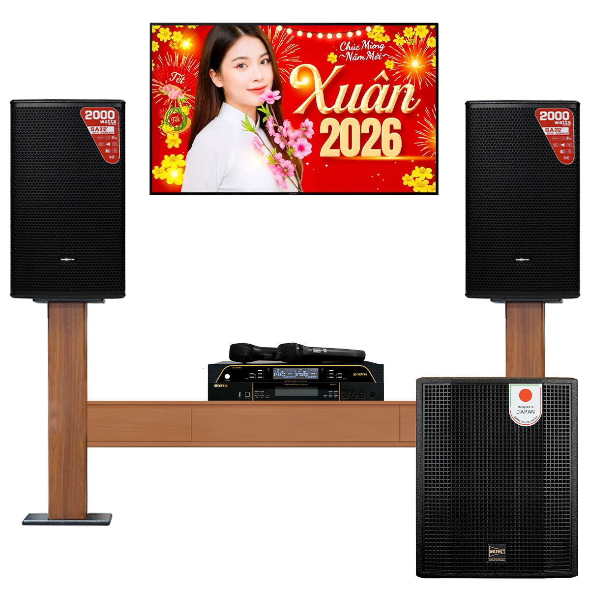 Dàn Karaoke Gia Đình Audiocenter 01 (Audiocenter SA312+, BIK VK-R51, BIK BBK-W55A, BIK BJ-U200) - Hình 2