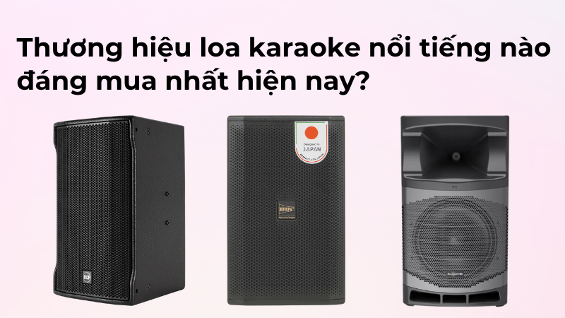 Thương hiệu loa karaoke nổi tiếng nào đáng mua nhất hiện nay?