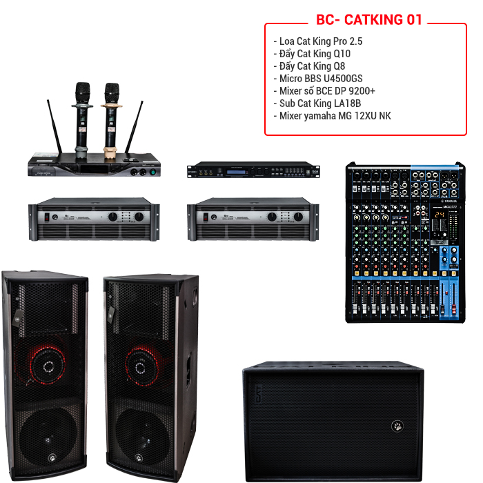 Điển hình như dàn âm thanh hội trường, sân khấu BC-CatKing 01 là một gợi ý bạn có thể tham khảo