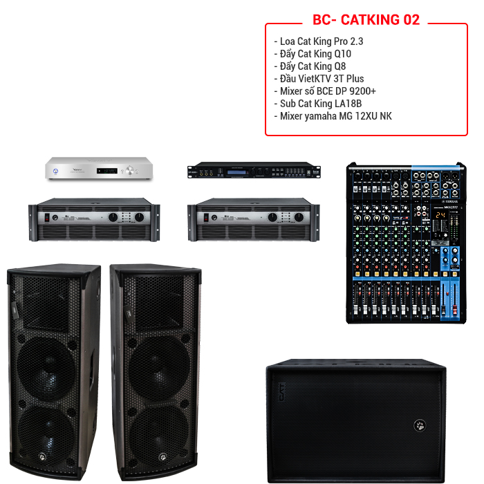 BC- Catking 02