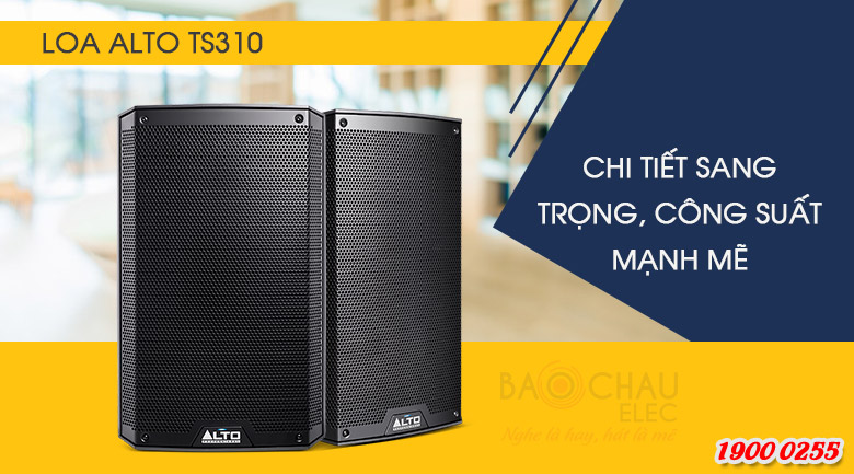 loa-alto-TS310