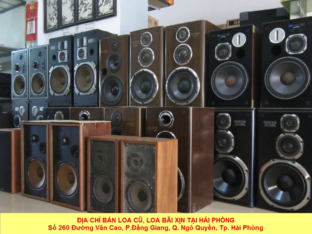 loa-bai-cho-sat-hai-phong