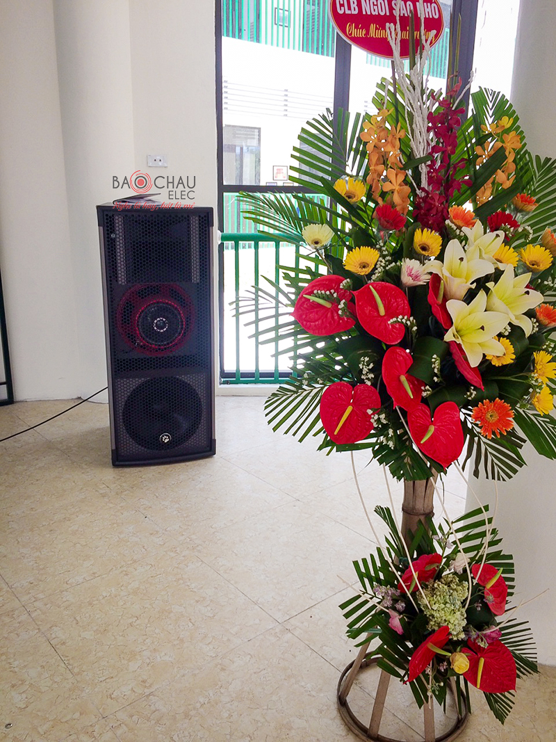 He thong am thanh truong hoc bach duong h2