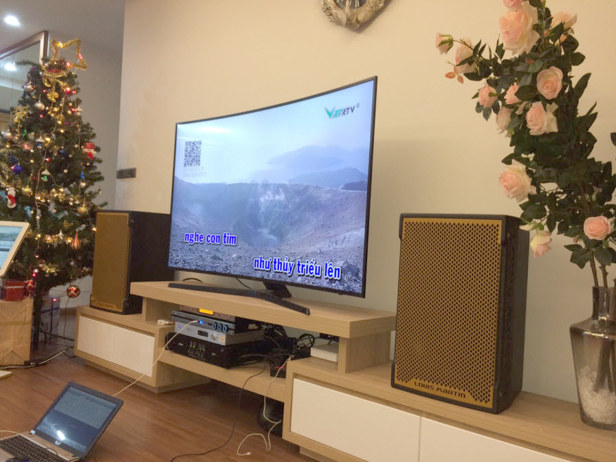 dan-karaoke-gia-dinh-ho-tung-mau-h7